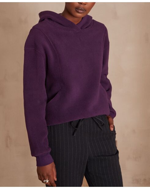 Sweat Tennessee violet