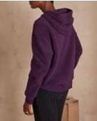 Sweat Tennessee violet