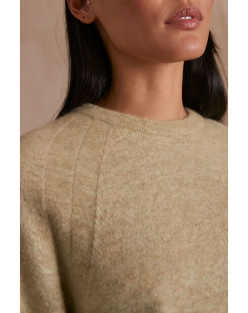 Pull Campbell amande