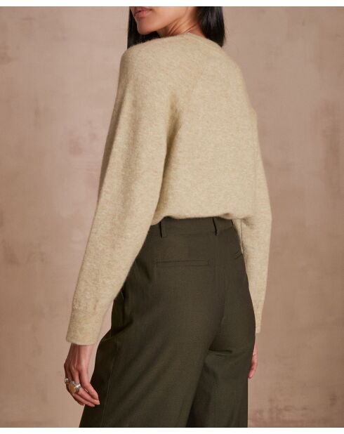 Pull Campbell amande