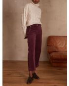 Burgundy Moss fluwelen broek