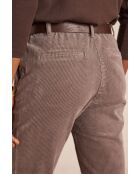 Sabil Samthose in Helltaupe