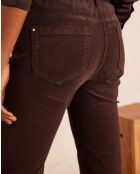 Chocolate Samthose Marcus