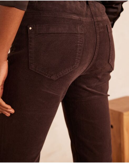 Chocolate Samthose Marcus