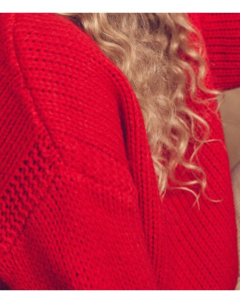 Cassidy roter Strickpullover