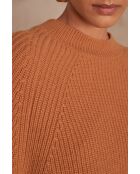 Maglione Clémence roux in maglia