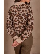 Maglione marrone Carmelo
