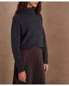 Pull Andrea canard
