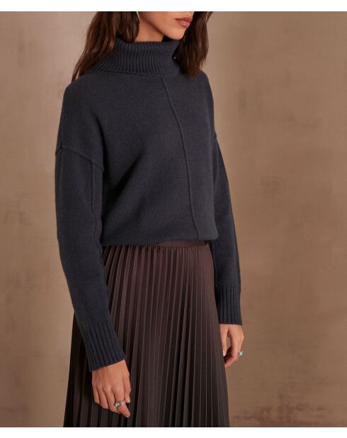 Pull Andrea canard