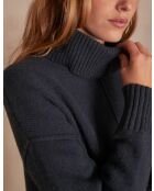 Pull Andrea canard