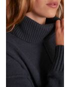 Pull Andrea canard