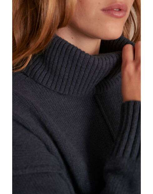 Pull Andrea canard