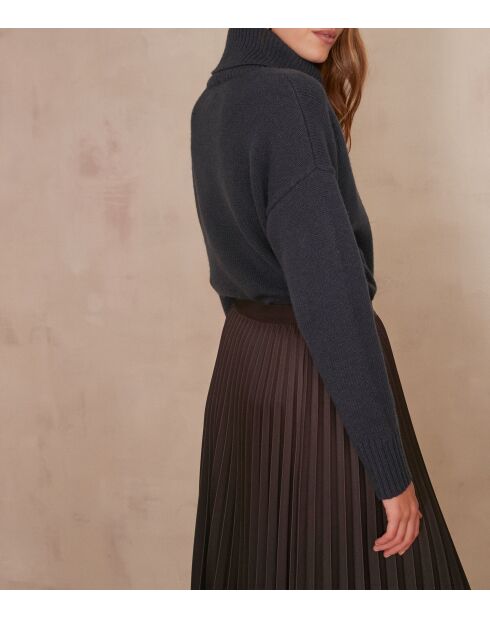Pull Andrea canard