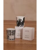 Bougie Fleur d'Oranger blanc