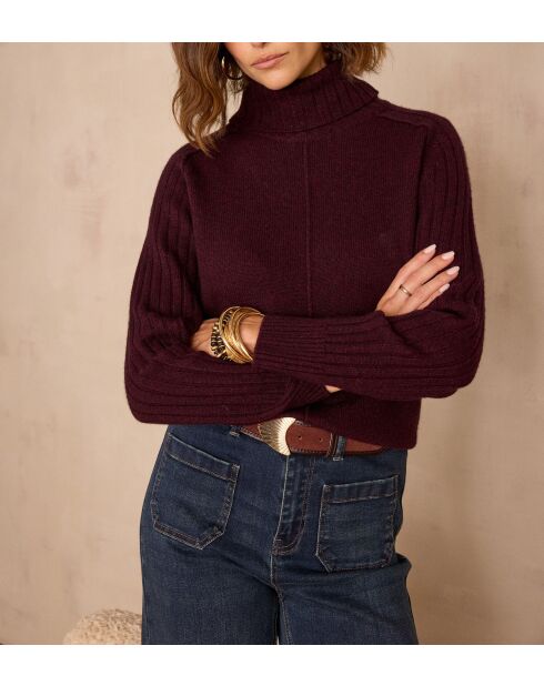 Blaise Auberginenpullover