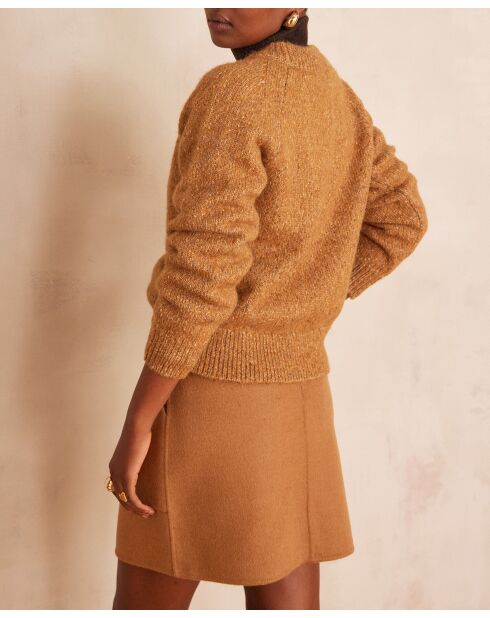 Pull Agnes camel