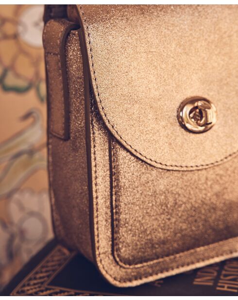 Petit sac Ines doré