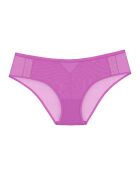Orquídea fucsia Shorty Hipster Palina Cosmic Heartbeat