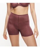 Pantalones cortos transparentes Shorty Triumph Signature Decadent Chocolate