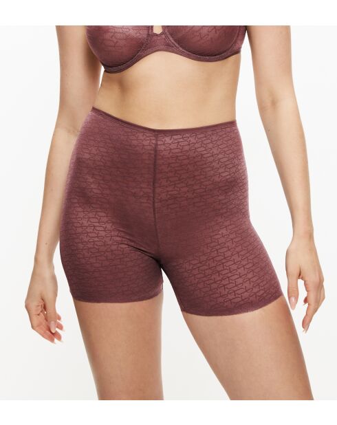 Pantalones cortos transparentes Shorty Triumph Signature Decadent Chocolate