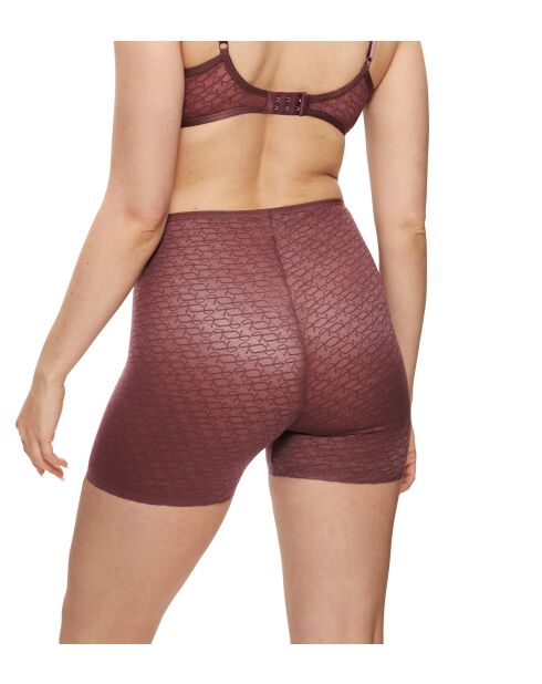 Pantalones cortos transparentes Shorty Triumph Signature Decadent Chocolate