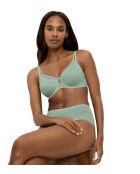 Triumph Signature Sheer W01 EX Minimizer-BH mit Bügel in Nebentürkis