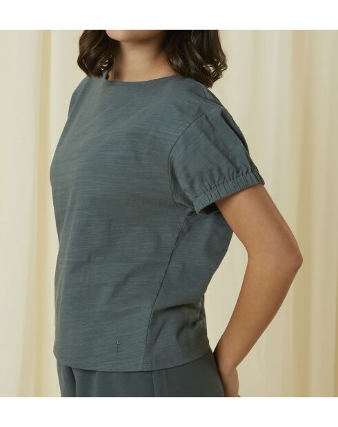 Top Smart Active Infusion Top SSL EX verde affumicato