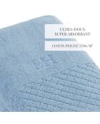 Set di 2 tovaglioli Eden celeste - 2x (50x100 cm)