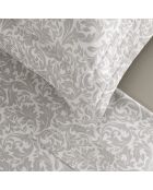 Parure petit drap plat + drap housse + taies rectangles satin de coton Esprit Damas taupe
