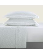 Parure petit drap plat + drap housse + taies rectangles satin de coton Olea europaea vert