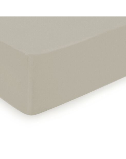 Drap-housse satin de coton Uni taupe 05