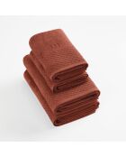 Set di 2 asciugamani + 2 teli da bagno Eden terracotta - 2x (50x100 cm)