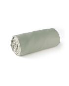Drap-housse satin de coton Jardin orné vert