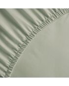 Drap-housse satin de coton Jardin orné vert