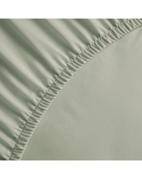 Drap-housse satin de coton Jardin orné vert