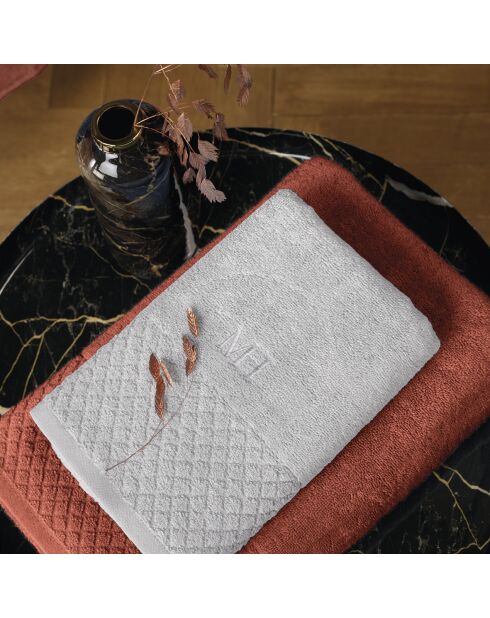 Set de 2 serviettes Eden terracotta - 2x(50x100 cm)