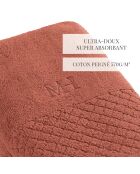 Set de 2 serviettes Eden terracotta - 2x(50x100 cm)