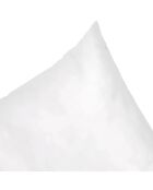 Remplissage de coussin Blanc - 45x45 cm