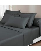 Maxi-set laken + hoeslaken + rechthoekige kussenslopen effen grijs katoensatijn 02