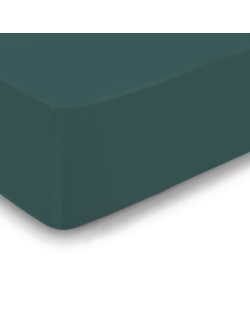 Sábana bajera ajustable de satén de algodón verde Uni 02