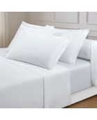 Set maxi de sábana encimera, sábana bajera y fundas de almohada cuadradas de algodón satinado Uni blanc 01