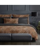 Juego de 2 fundas de almohada de satén de algodón de fantasía con forma de felino marrón, 2 x 63 cm