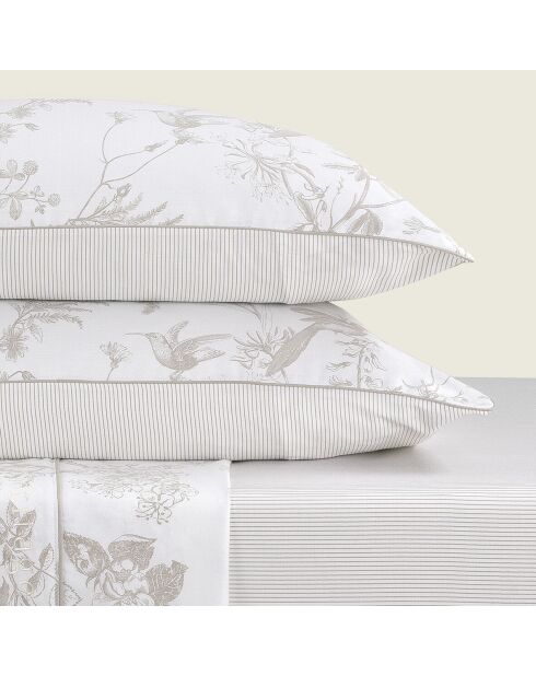 Set aus 2 Kissenbezügen aus Baumwollsatin Molibri mit Blumenmuster in Taupe