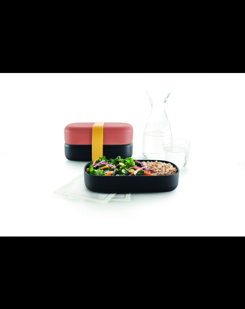 Lunchbox To Go korallenrot - 1L