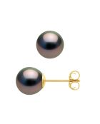 Ohrringe aus Gelbgold, schwarzer Schmuck, Tahiti