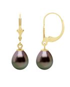 Ohrringe aus Gelbgold, schwarzer Schmuck, Tahiti