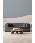 Canapé-lit 3 places anthracite - l . 190 cm x P. 90 cm x H . 36 cm