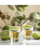 Lot de 6 shooters Chicago transparents - 4,5 cl