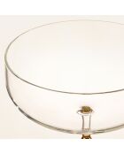 Verre à martini doré transparent - 280 ml