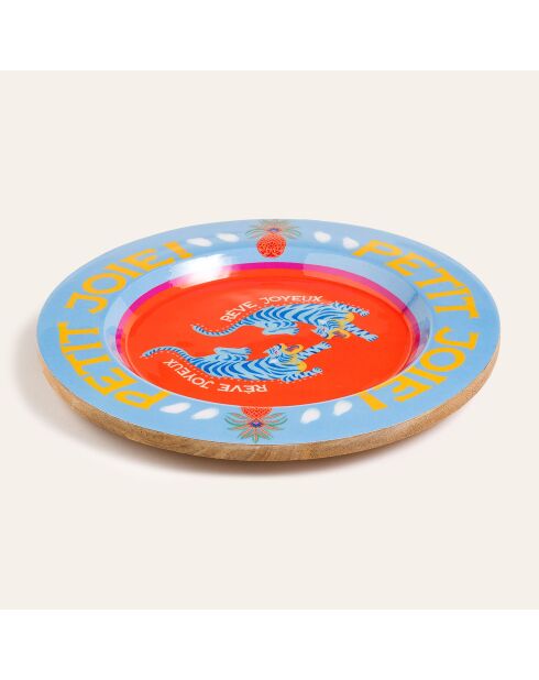 Plateau pour aliments orange et bleu - 26 x 26 x 2.5 cm